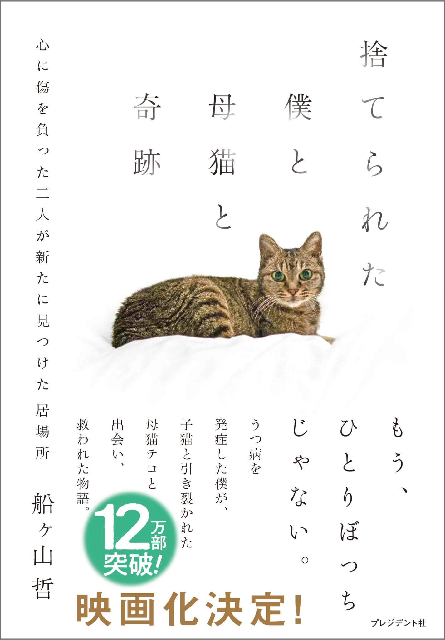 捨てられた僕と母猫と奇跡――うつ病を発症した僕が子猫と引き裂かれた母